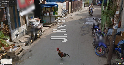 road chicken cross jakarta