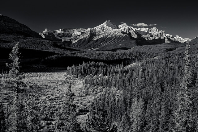 Survey Peak, Mount Erasmus, North Saskatchewan Valley