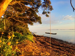 Just swinging around :-) . . . #upsticksandgo #exploring #beachlife #greensbeach #beach #travel #tasmania #tassiecoast #instagood #instatravel #instagram #discovertasmania #michfrost #swing #kelso #sunrise