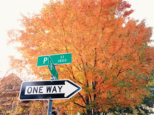 Street sign in Downtown Sacramento with fall colors | by Kevin Cortopassi
