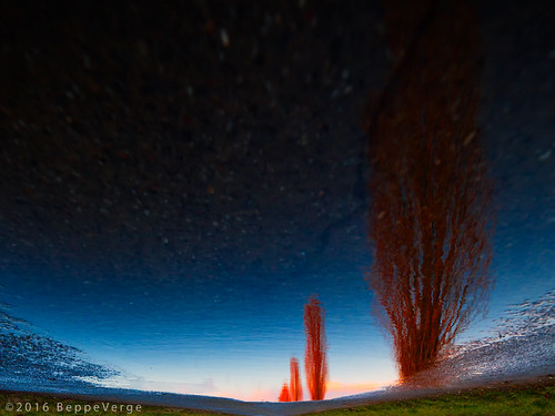 Riflessi by beppeverge, <a href="http://flic.kr/s/aHsjyChBYD" rel="nofollow">My Most Interesting Photos</a> | <a href="https