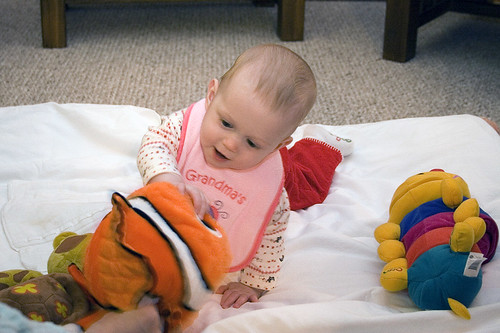 Bayleigh playin' with Nemo