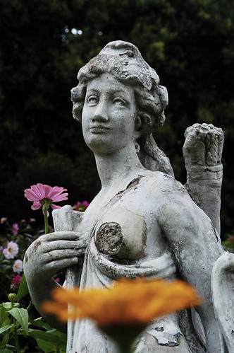 Durban Botanical Gardens