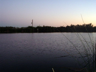The Fishing spot