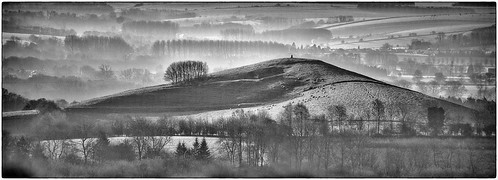 morning england bw mist misty landscape dawn nikon frost unitedkingdom hill vale gb bandw wiltshire pewsey goldcollection d7100 silverefex stantonsaintbernard