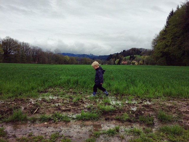 Muddy Sunday walk. #EUEddie #kirchzarten #freiburg