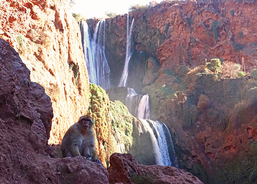 monkey waterfall sony falls morocco maroc atlas macaque ouzoud andylatt ouzoudfalls dsc008251 rx100m3