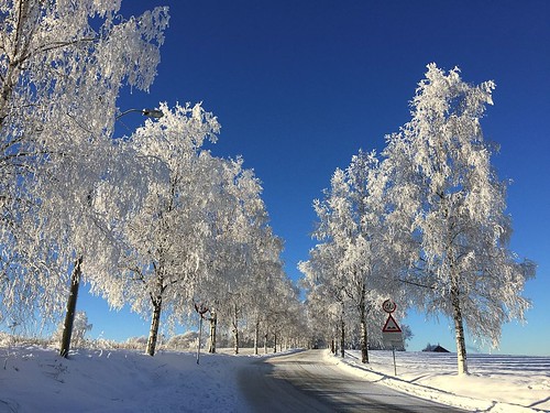 winter snow cold norway landscape norge moody january bluesky iphone6