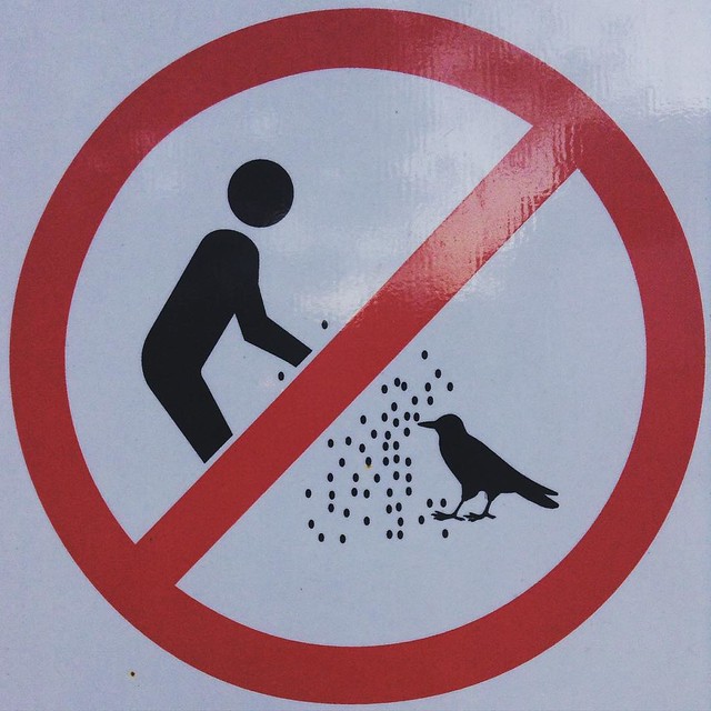 Do not shred yourself at the bird. #sign #warning #donot #latergram #Sydney #Australia
