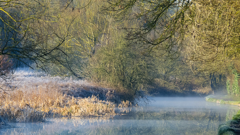 Canal near Compton on a frosty, misty morning