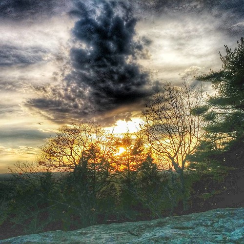 Bradbury Mountain #maine by Sean_L1, square squareformat iphoneography instagramapp uploaded:by=instagram