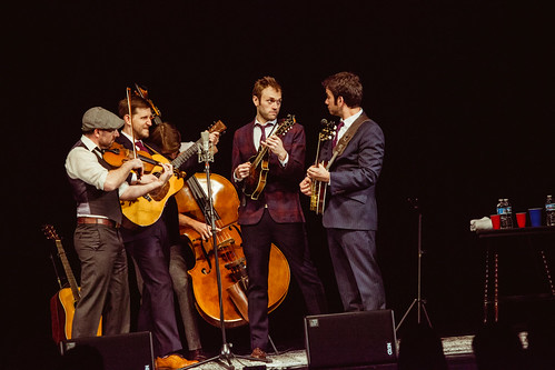 The Punch Brothers