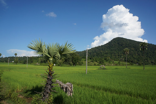 On the way from Mandalay to Katha by Michael Chow (HK), Location: Near Wuntiho, Sagaing Region, Myanmar.burma myanmar mm myanmarburma sagaingregion