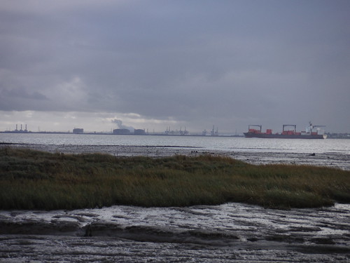 Ships on the Thames & Isle of Grain, from Leigh Beck Marsh SWC Walk 258 Benfleet Circular (via Canvey Island)