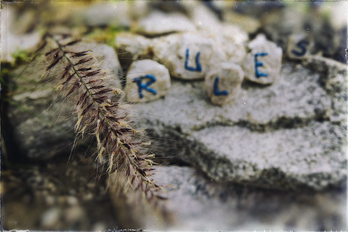 morning blur grass word outside typography weed nikon focus rocks paint dof bokeh stones dirty dirt shade scratched depth odc setinstone d810 hbmike2000