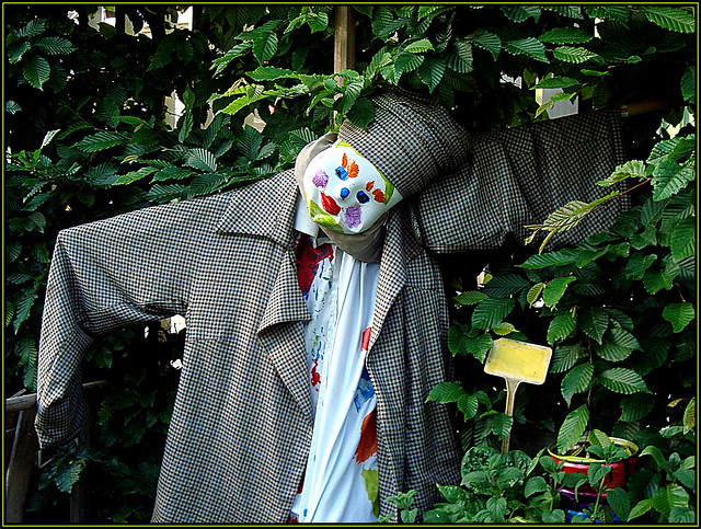 After seeing a fish flying through the trees, today, a Scarecrow has hung himself !!!