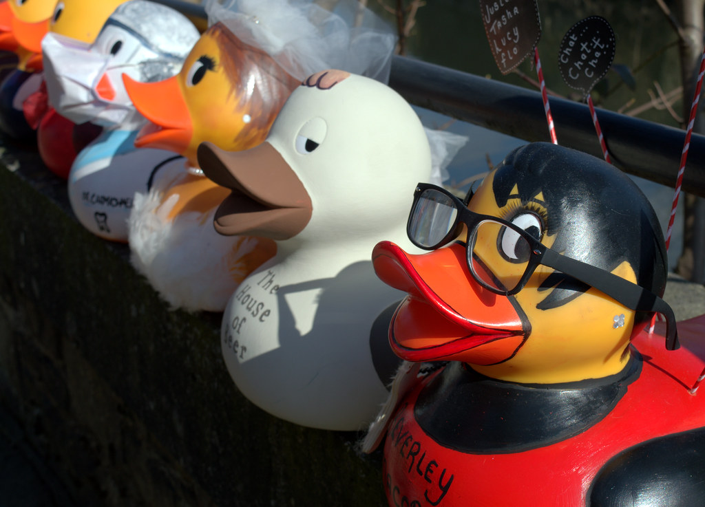 Customised Ducks at Ramsbottom Chocolate Festival 2016