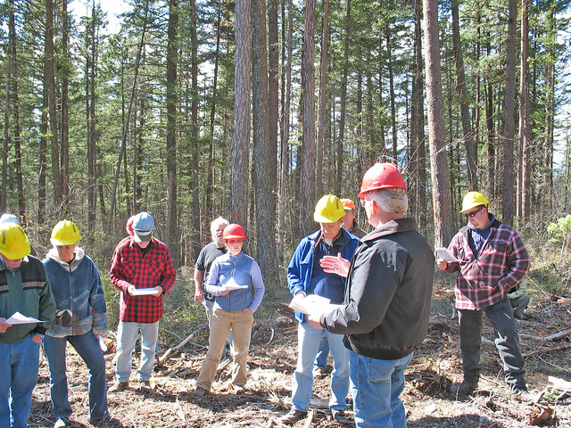 Montana Forest Restoration Working Group, Lolo National Forest