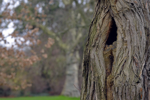 THE MYSTERIES WITHIN  -  (Selected by GETTY IMAGES)