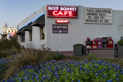 light sunset flower building sign restaurant us spring neon texas unitedstates bluebonnet bloom hillcountry wildflower marblefalls