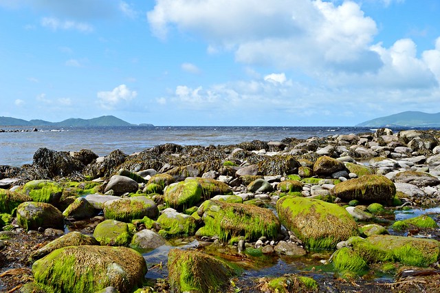 Low tide on the coast of Ireland