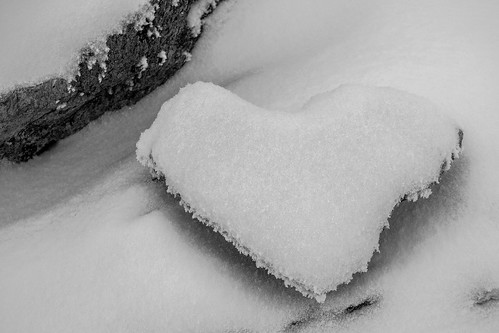 Heart of Stone | IMG_8828 | ::ErWin | Flickr