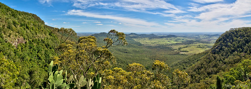 australia qld lookout panorama bunyamnp nationalpark stitch viewpoint bushwalking bunyamountainsnationalpark