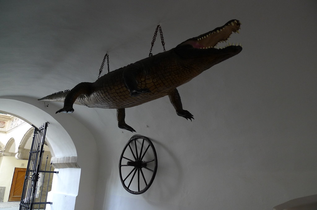 Dragon or Crocodile? - Tourist Office - Brno, Moravia, Czech