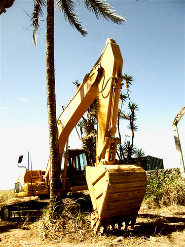 Backhoe | by Iris Azevedo