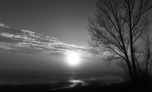 fog landscape outdoor nopeople landschaft nature baum tree sunset sky blur shore lake bw blackandwhite schwarzweis noiretblanc geo:lat=4781891817 geo:lon=1679572998 geotagged xp107735v2 xf