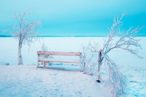 winter sunset snow cold tree ice suomi finland bench evening branch dusk january freezing bluehour lumi talvi tampere koukkuniemi