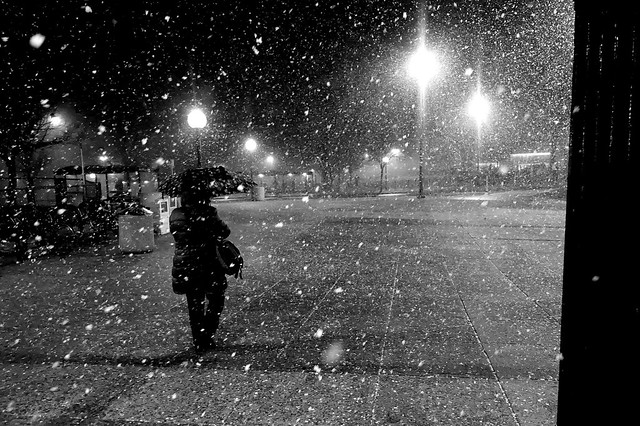 Snow, Takoma Park Metro