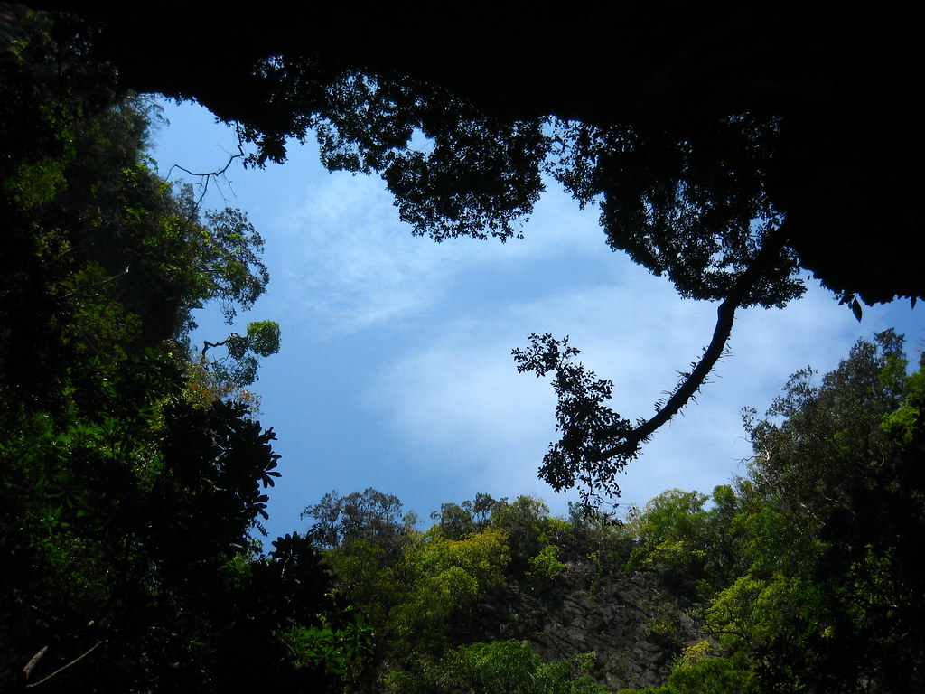 Inside the island