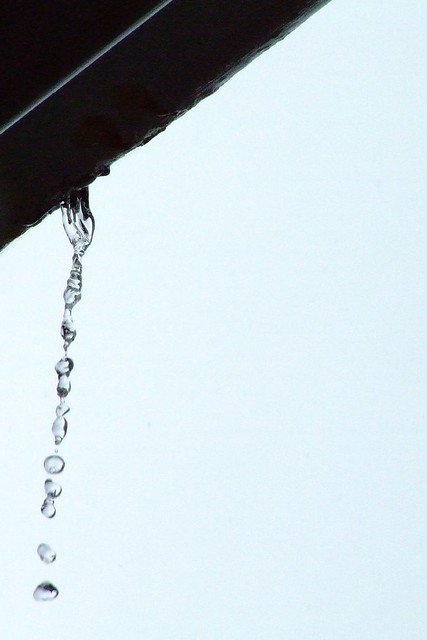 trickle of beads of water falling from the sky