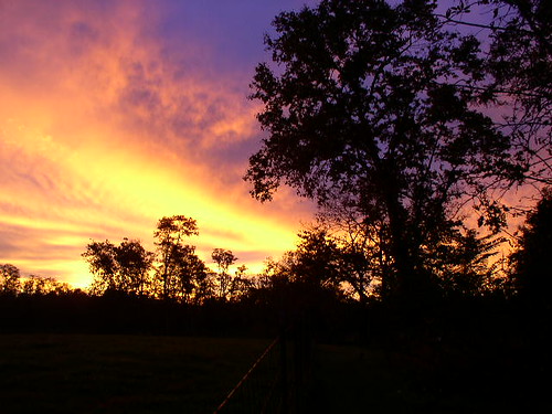 tree home clouds sunrise westvirginia silhoutte