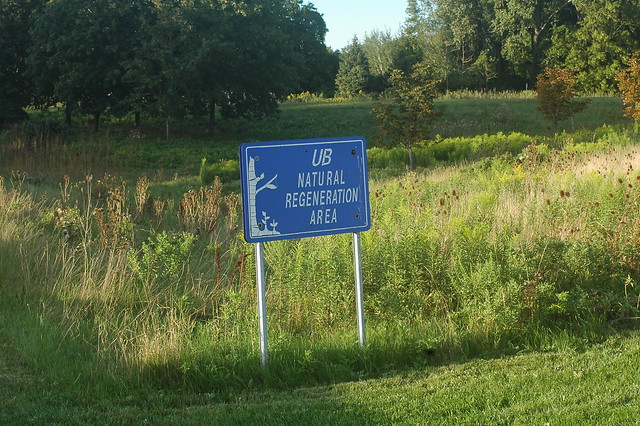 UB Natural Regeneration Area