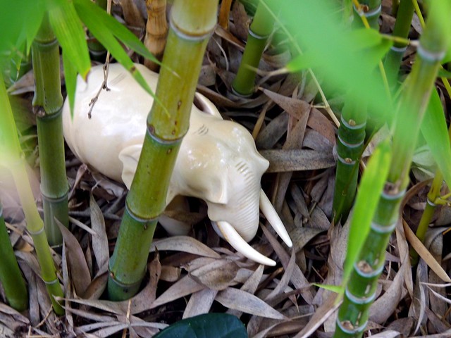 L'elefante bianco nella foresta di bambù