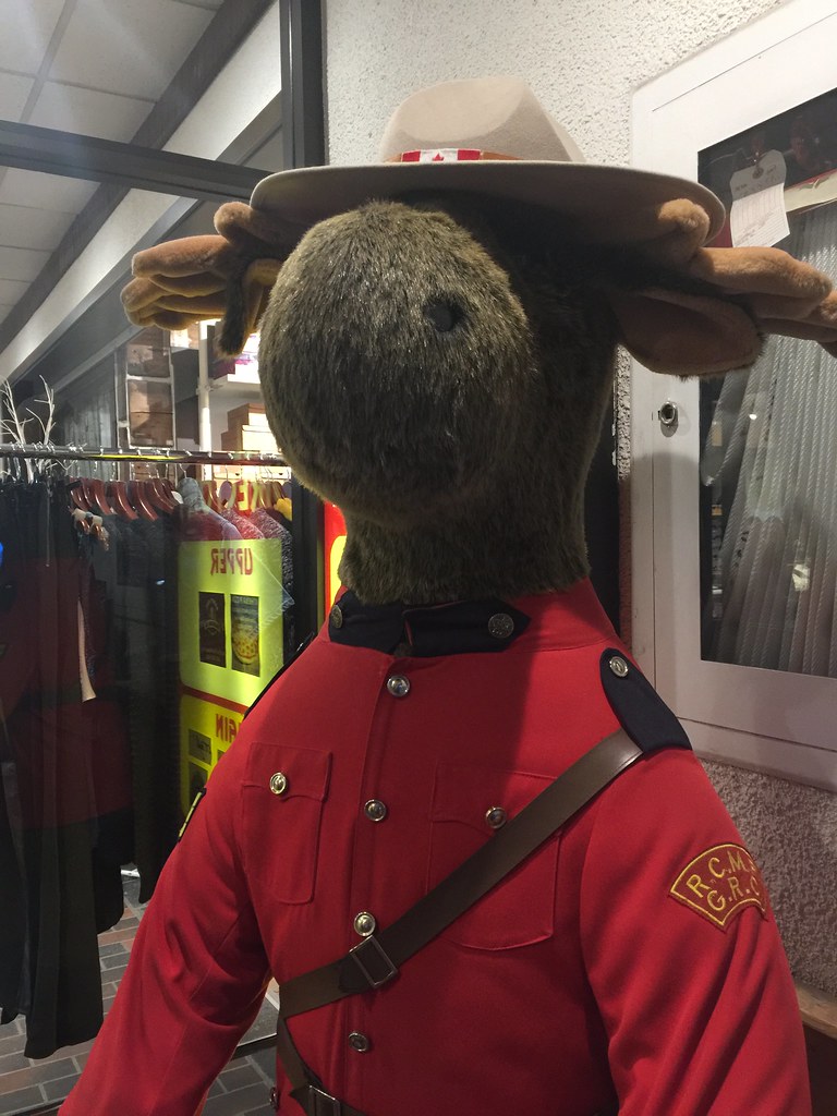 Royal Canadian Mounted Police moose | m01229 | Flickr