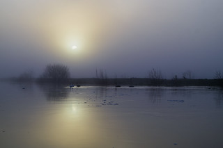 Flooded Rother 2