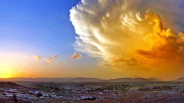 Dragon.Andalusia.Spain.