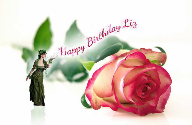 • Happy Birthday Liz •