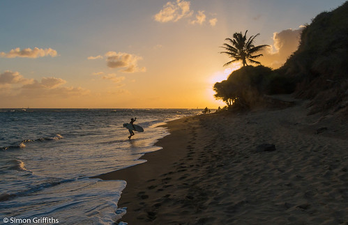 ocean sunset sea tree simon beach hawaii sand surf unitedstates oahu surfer palm honolulu griffiths 2016 simongriffiths