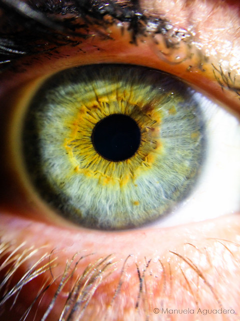 26-Macro-La mirada es la puerta del alma #ojo #eye #2016 #pupila #pupil #pestañas #eyelashes #azul #blue #verde #green #amarillo #yellow #amor #love #hermana #sister #macro #photography #photographer #iphone #iphone5