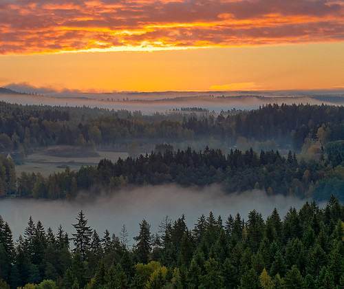 morning autumn red orange mist lake tree fall nature weather misty fog forest sunrise finland season landscape countryside haze woods scenery colorful europe glow outdoor vibrant background hill foggy scenic peaceful aerialview calm fantasy silence mysterious mystical glowing magical idyllic hdr mystic