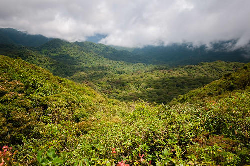 paysage monteverde puntarenas costarica cr