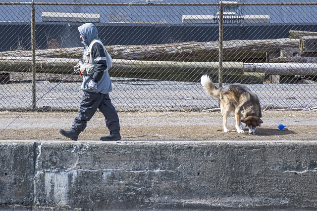 Fishing With Your Dog