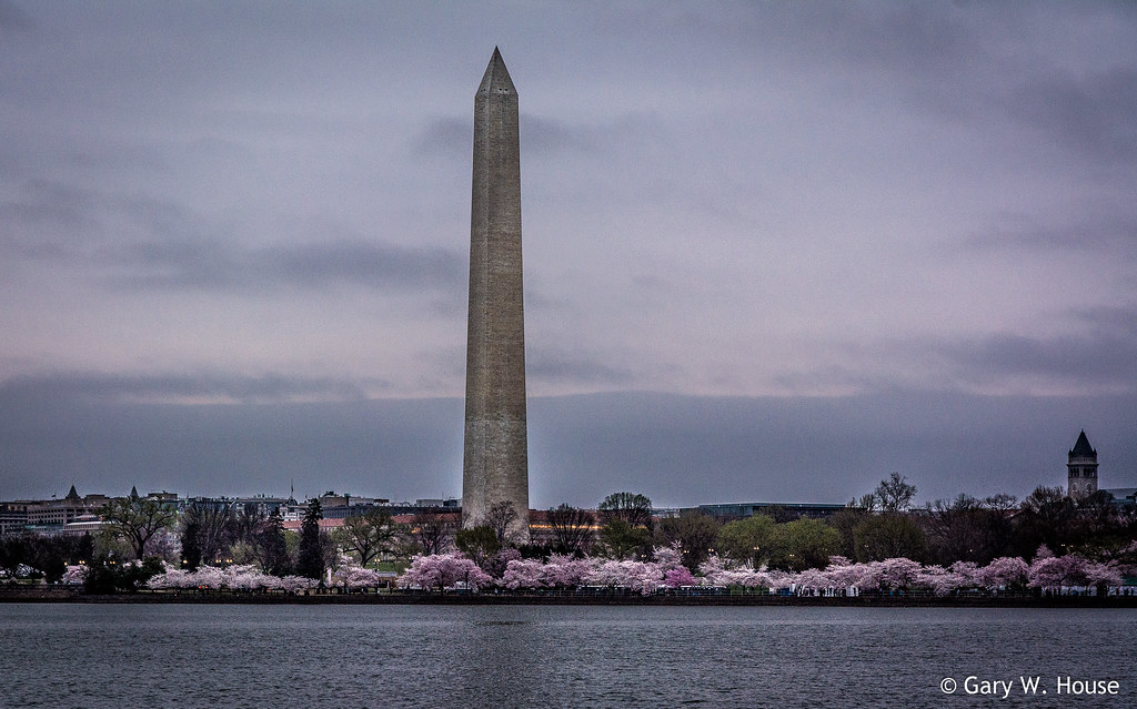 Just After Sunrise at the Tidal Basin