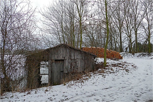 Winter am Teich 02
