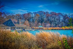 Winter at the Forest Park Boathouse