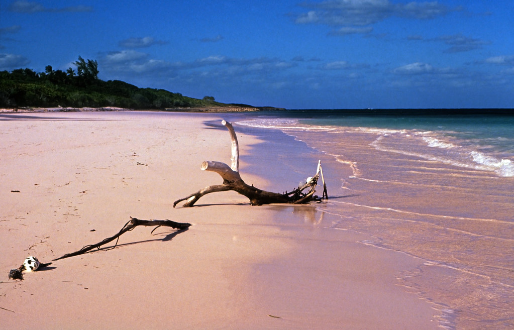 Bahamas 1989 (347) Eleuthera:  Pink Sand, Harbour Island